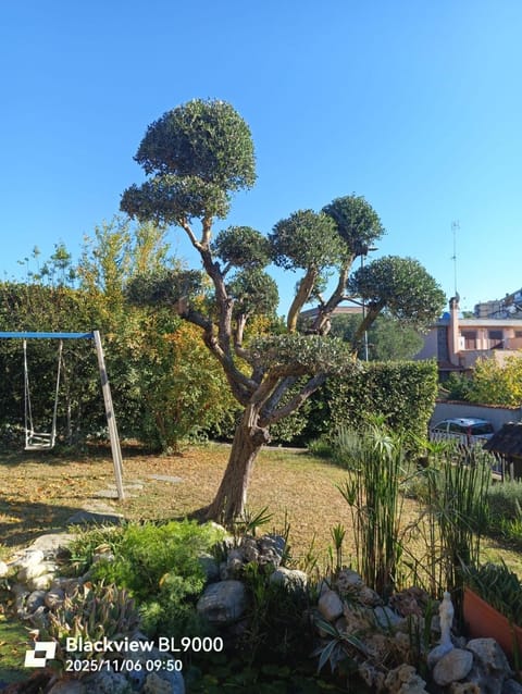 Rhome country lodge Apartment in Rome