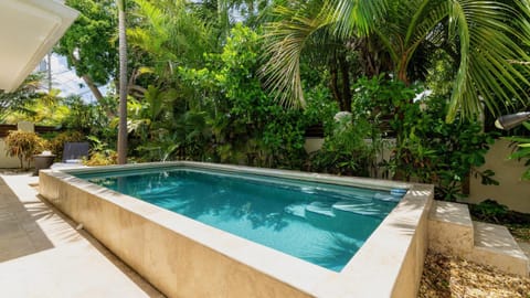 Island Opulence by Last Key Realty House in Key West