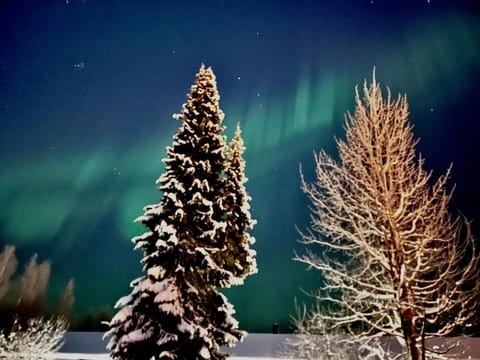 Playful Villa for Friends and Families Villa in Rovaniemi