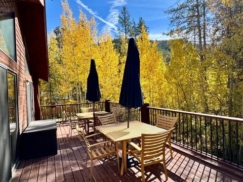 Bryant Home 1826 by SummitCove Lodging House in Keystone