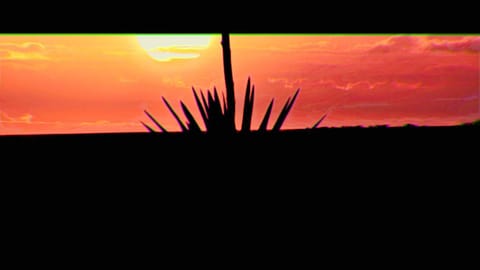 Natural landscape