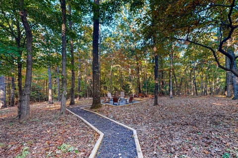 Cozy Cabin in the Trees Cabin in Blue Ridge Lake