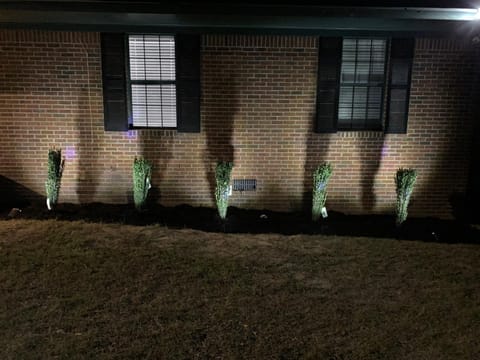 Property building, Night, Garden view