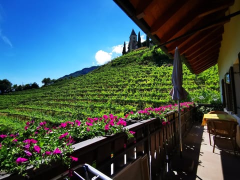 Ferienhof Franzelin Apartment in Trentino-South Tyrol