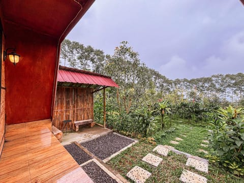 Spring, Day, Garden, Garden view