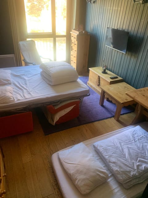 Studio Isola 2000 centre station front de neige Apartment in Isola