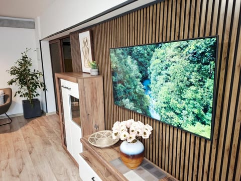 Natural landscape, TV and multimedia, Decorative detail