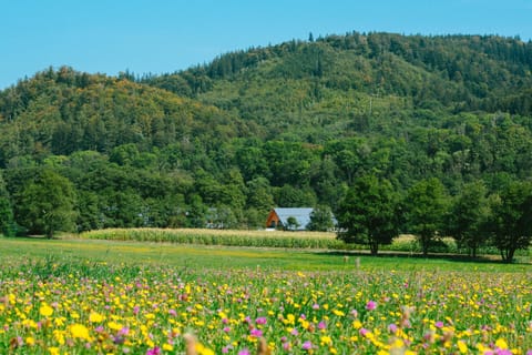 Property building, Nearby landmark, Day, Natural landscape, Mountain view