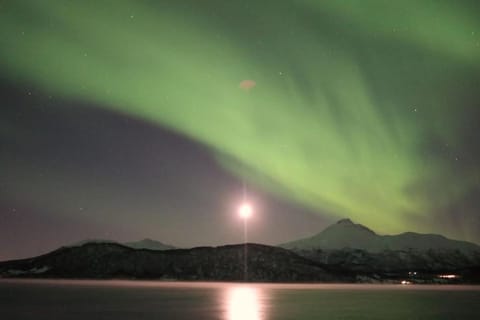 Arctic Sky Sanctuary Apartment in Troms Og Finnmark
