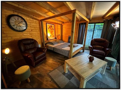 Bed, Living room, Photo of the whole room, Seating area, Bedroom