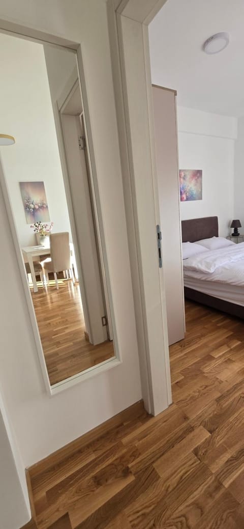 Zoya Apartment Apartment in Podgorica