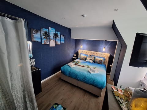 Shower, Bed, Photo of the whole room, Bedroom