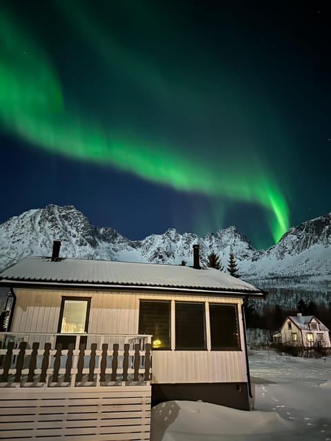 Just a Simple House House in Nordland, Norway