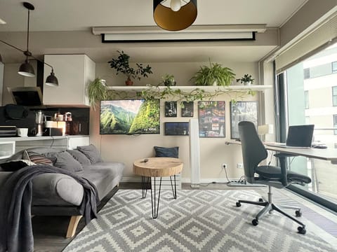 TV and multimedia, Living room