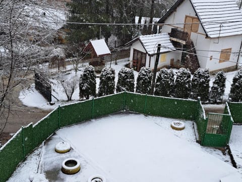 Winter, Garden view