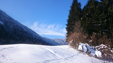 Haus Maria House in Friuli-Venezia Giulia