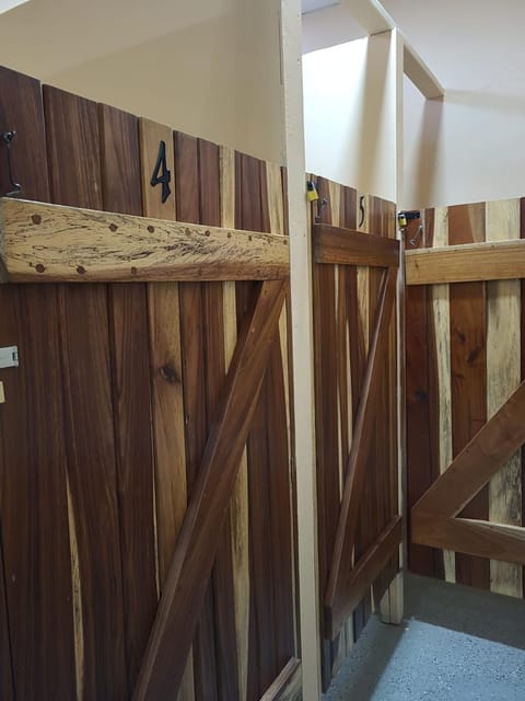 D's Inn Bed and Breakfast in San Ignacio