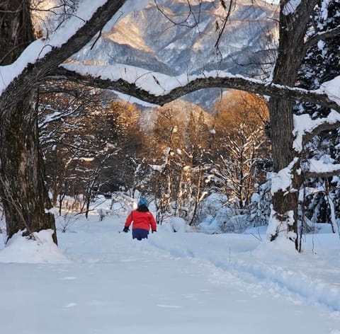 Skiing