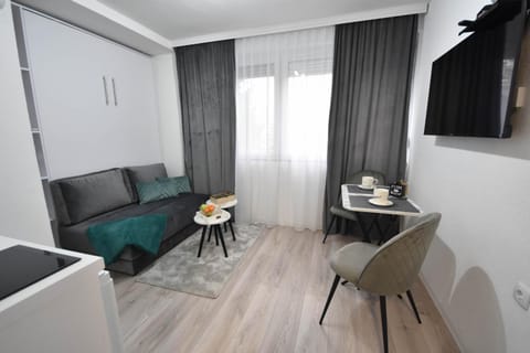 Apartman LILI centar Apartment in Federation of Bosnia and Herzegovina