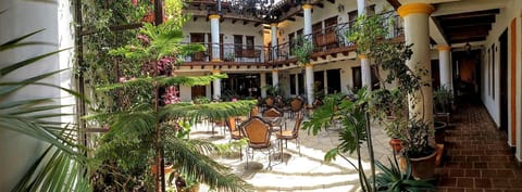 Patio, Garden