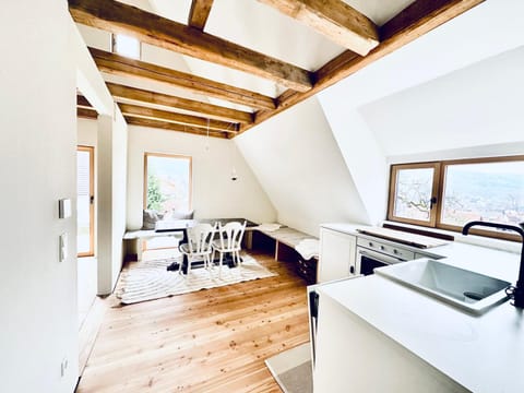 Kitchen or kitchenette, Seating area, Dining area
