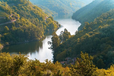 Natural landscape, Bird's eye view, Hiking, River view