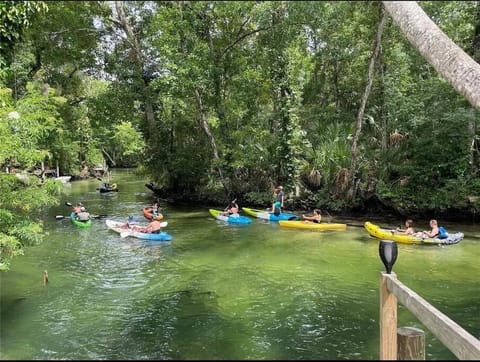 Main River Retreat hot tub, canoe with trolling motor Villa in Spring Hill