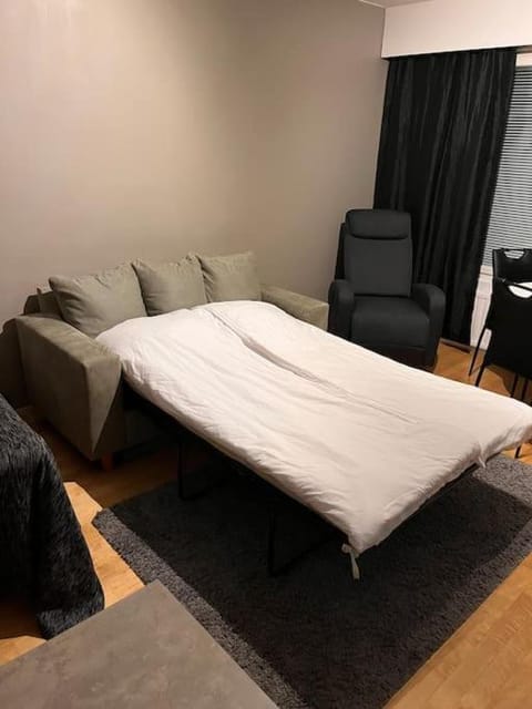 Kompakti yksiö Sepis Apartment in Finland