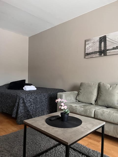 Kompakti yksiö Sepis Apartment in Finland