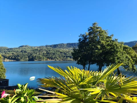 Lake view