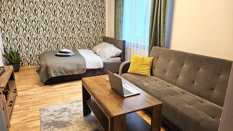 Bed, Living room, Photo of the whole room, Seating area, Bedroom