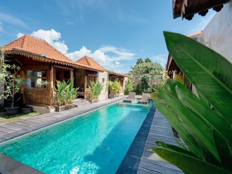 Property building, Patio, Day, Garden, Garden view, Pool view, Swimming pool, sunbed