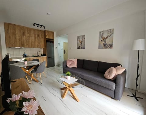 TV and multimedia, Living room, Seating area, Dining area, kitchen, air conditioner