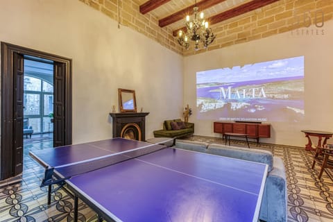 Game Room, Table tennis, TV and multimedia
