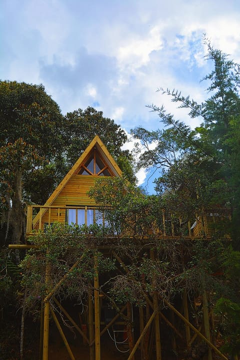 Off site, Natural landscape, Garden, Garden view, Mountain view