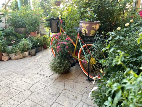 Spring, Garden