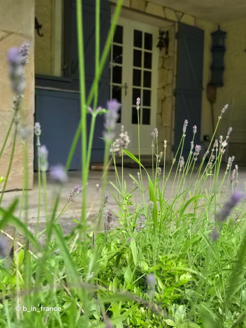 Property building, Facade/entrance, Garden