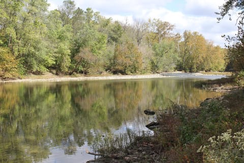 Natural landscape, River view