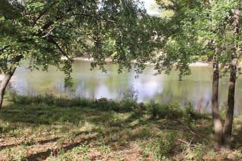 Natural landscape, River view