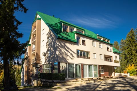 Whispering pines apartment Apartment in Montenegro