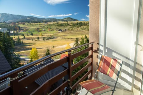 Whispering pines apartment Apartment in Montenegro