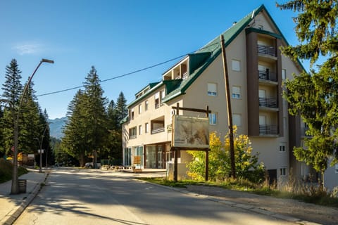 Whispering pines apartment Apartment in Montenegro