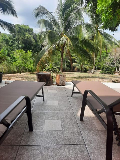 Garden view