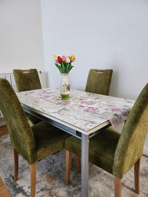 Luxury Apartment Bulevar Apartment in Sarajevo