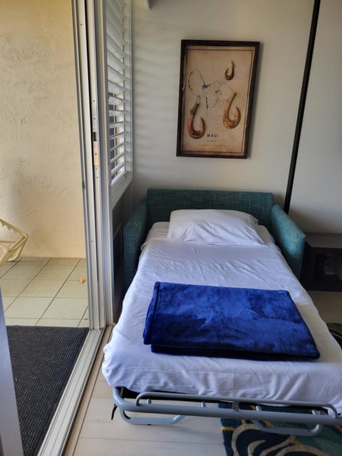 Napili Shores - Ocean Front Ground Floor Apartment hotel in Kapalua