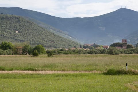 Agriturismo Villa Rosselmini Farm Stay in Tuscany