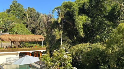 Bird's eye view, View (from property/room), Garden view, Pool view, River view, Quiet street view