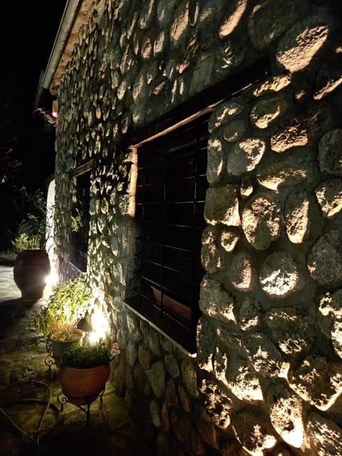 Property building, Night, Garden