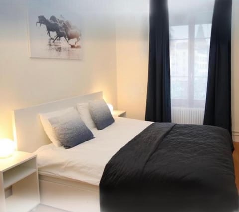 Appartement business Apartment in Geneva