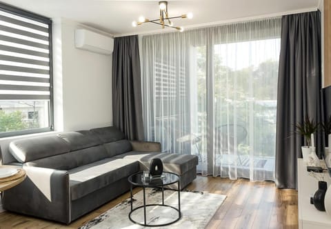 Living room, Seating area, air conditioner
